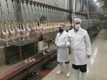 متوسط کشتار مرغ در کشتارگاه‌های استان روزانه بیش از 130 تن است
