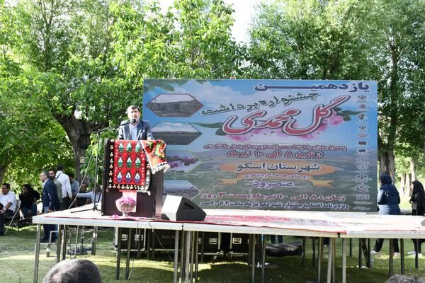 باید به‌صورت علمی به فرآوری گل‌محمدی توجه شود