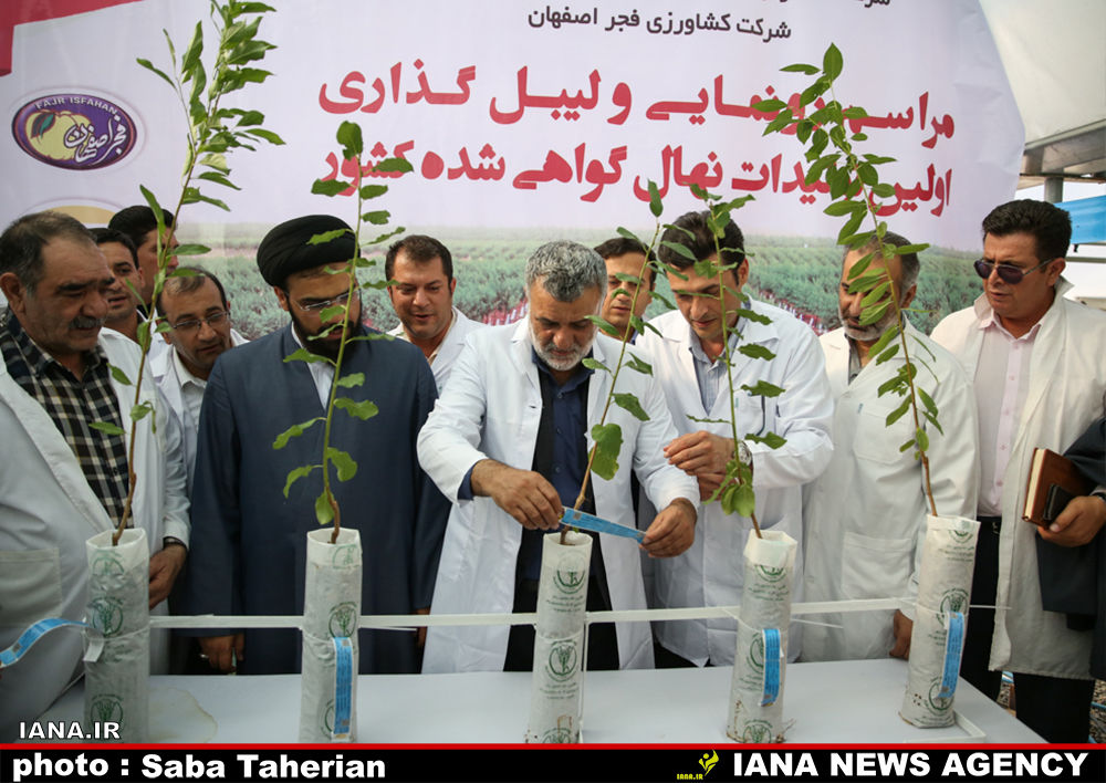 وزیر در اصفهان