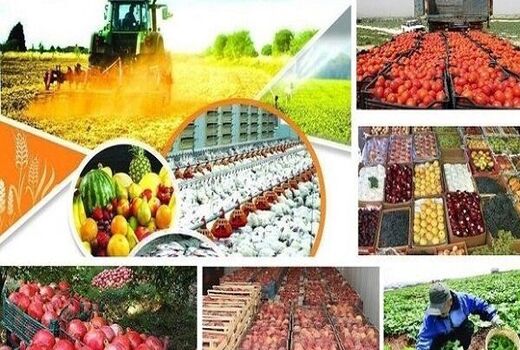لزوم توجه به فرآورده‌های محصولات باغبانی با هدف افزایش ارزش افزوده
