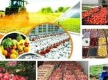 لزوم توجه به فرآورده‌های محصولات باغبانی با هدف افزایش ارزش افزوده

