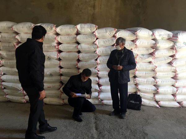 توزیع ۷۶۳.۵ تن انواع نهاده‌های کشاورزی در سال جاری زراعی در شهرستان ایلام