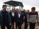 بازدید وزیر جهاد کشاورزی از پروژه آبیاری تحت فشار شبانکاره در دشتستان
