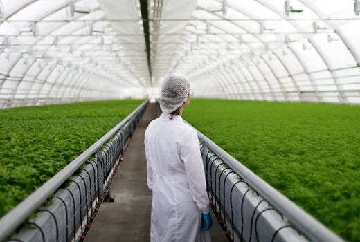 راهکارهای فائو برای تضمین ایمنی و سلامت غذا در طول زنجیره تأمین مواد غذایی 