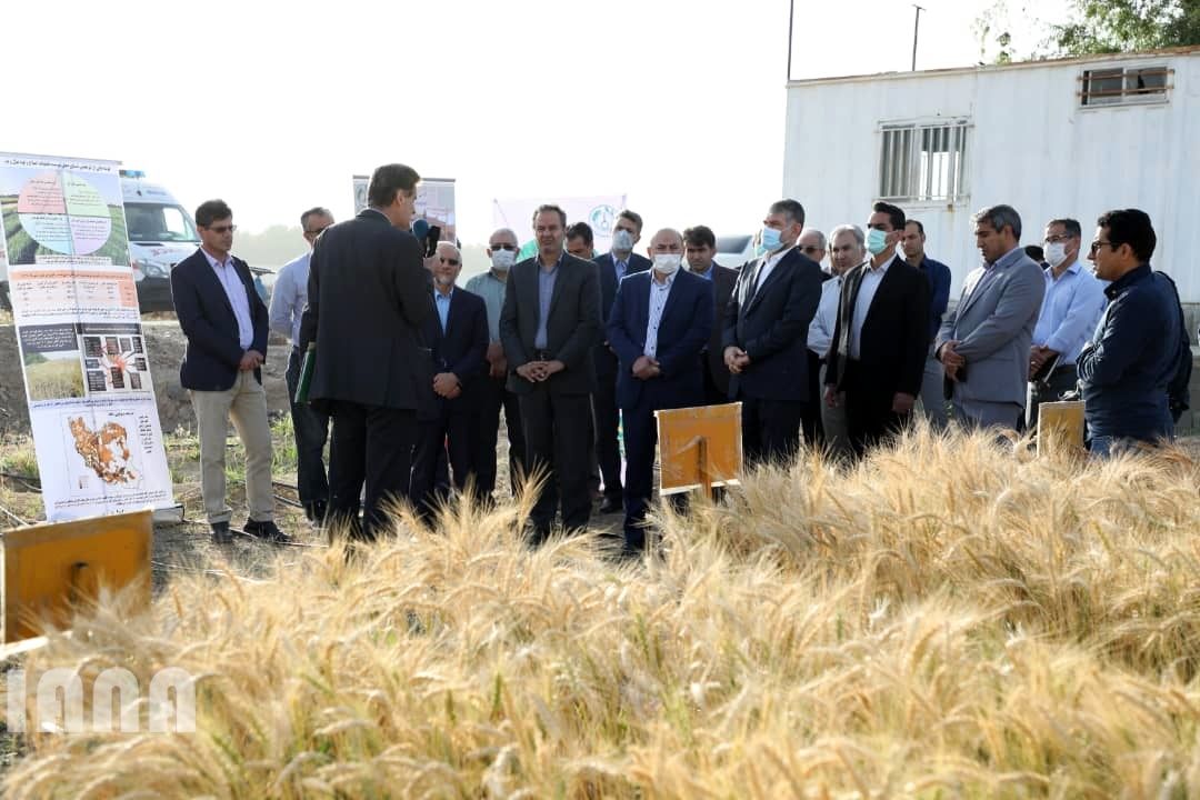 WhatsApp Image 2022-06-14 at 10.06.26 AM (1)