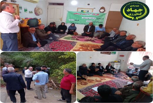 برگزاری کارگاه آموزشی آفت مگس میوه انبه در منطقه خائیز تنگستان