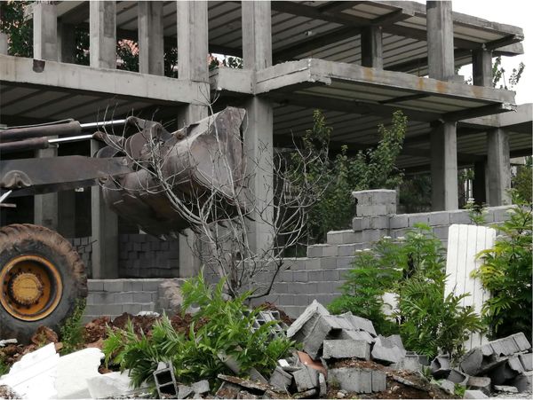 بازگشت 17000 مترمربع زمین در ساری به چرخه تولید کشاورزی