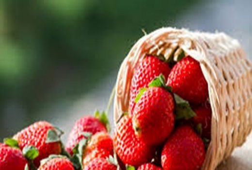 ایجاد 2 خوشه صنعتی توت‌فرنگی و گردشگری در کردستان