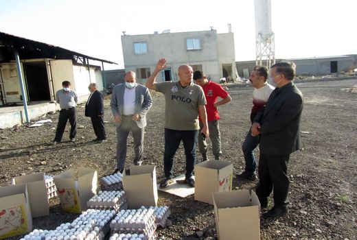 بازدید رییس سازمان جهاد کشاورزی خراسان شمالی از واحد بسته بندی تخم مرغ دچار حریق شده در شهرستان فاروج 