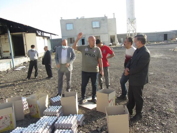 بازدید رییس سازمان جهاد کشاورزی خراسان شمالی از واحد بسته بندی تخم مرغ دچار حریق شده در شهرستان فاروج 