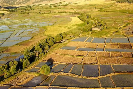 سنددارشدن اراضی از خردشدن زمین‌های کشاورزی جلوگیری می‌کند