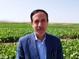 50 درصد پروژه های اجرایی وزارت جهاد کشاورزی در حوزه زیر بنایی است