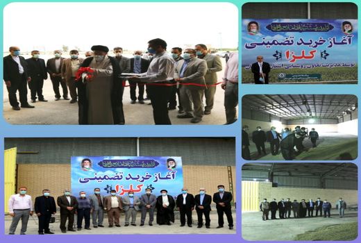 اقدام تعاون روستایی، آغاز پشتیبانی توسعه کشت کلزا در خوزستان