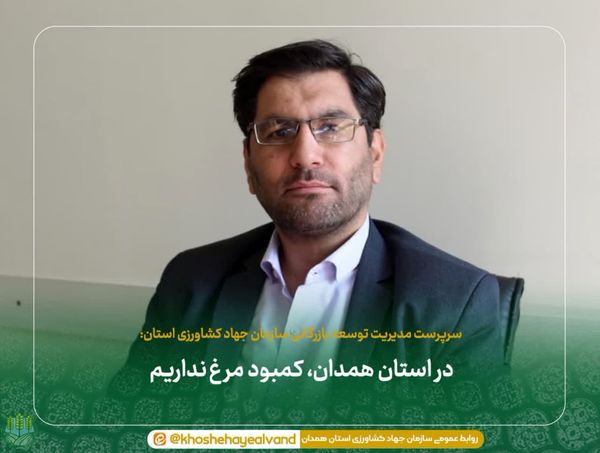 در استان همدان، کمبود مرغ نداریم 