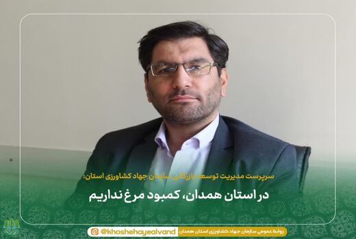 در استان همدان، کمبود مرغ نداریم 