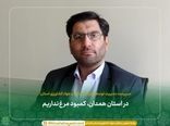 در استان همدان، کمبود مرغ نداریم 