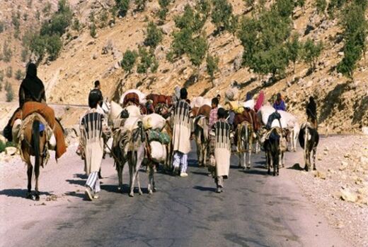 امنیت عشایر در زمان کوچ تامین می شود 