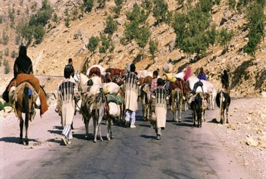 امنیت عشایر در زمان کوچ تامین می شود 