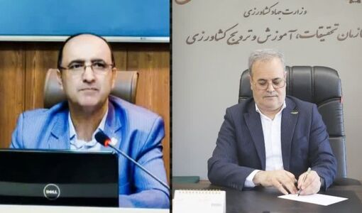 رئیس دبیرخانه ملی دانش بومی و تجارب کشاورزی و منابع طبیعی ایران منصوب شد