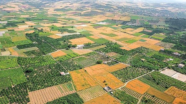 صدور ۱۷ مجوز تغییر کاربری اراضی کشاورزی در استان قزوین