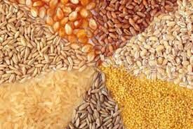 مشکلی برای تامین نهاده های دامی در استان وجود ندارد