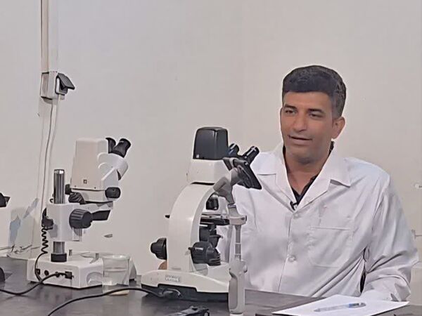 فناوری تکثیر مصنوعی باس دریایی؛ دستاورد پژوهشگر ایرانی در مسیر تولید بچه‌ماهی باکیفیت