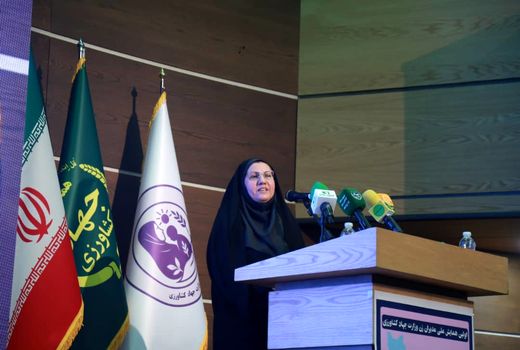 فناوری اطلاعات کلید توسعه پایدار روستاها است