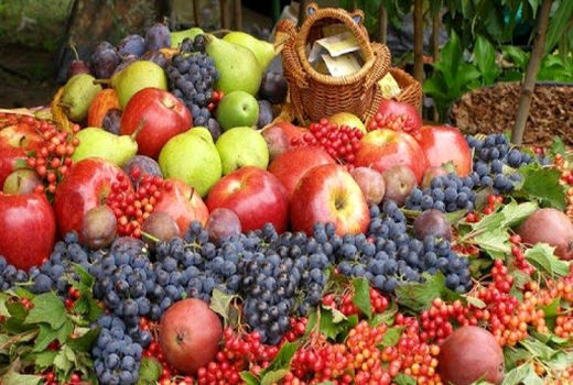 تراز تجاری چشم‌نواز بخش باغبانی ایران در سال‌های 97 و 98