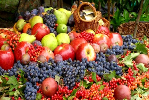 تراز تجاری چشم‌نواز بخش باغبانی ایران در سال‌های 97 و 98