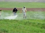 بازدید مستمر کارشناسان حفظ نباتات از مزارع، باغات و گلخانه ها جهت کنترل آفات و بیماری‌ها