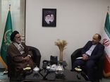 تعاملات فرهنگی میان ایران و برزیل نیاز به توجه بیشتری دارد