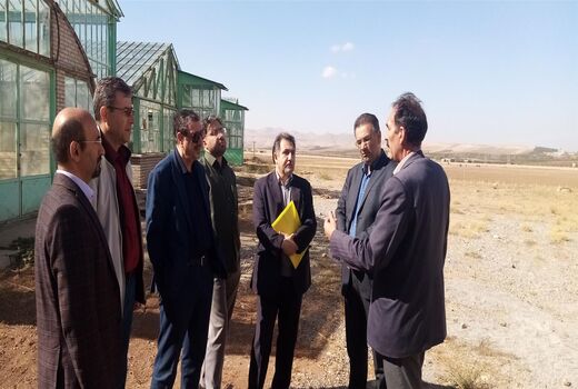 اجرای طرح جهش تولید در ۴ میلیون و ۲۰۰ هزار هکتار دیمزار