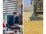 تعاون روستایی ‌۴۷ هزار تن ‌گندم کشاورزان ‌بوشهری را خریداری کرد 