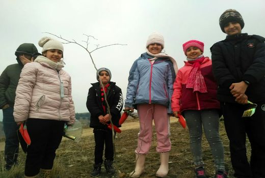 همدلی و همکاری مردم و دولت در روز درختکاری