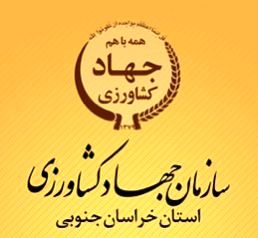 فصل طلایی کشاورزی استان با تلاش کارمندان و کارکنان سازمان جهاد کشاورزی خراسان جنوبی