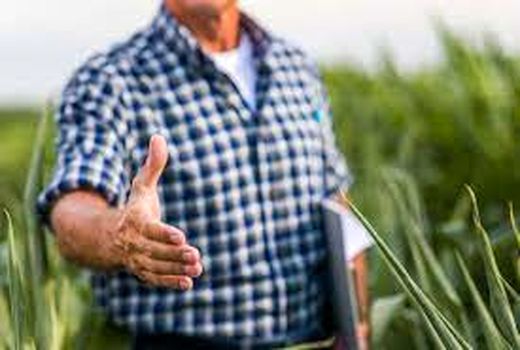 روند پیشرفت برنامه‌های کشاورزی قراردادی در شاهرود بررسی شد