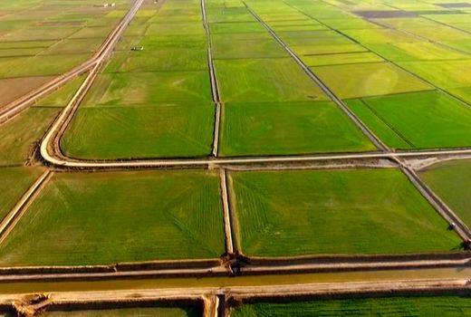 بررسی ۵ پلاک در کمیسیون رفع تداخلات استان خوزستان
