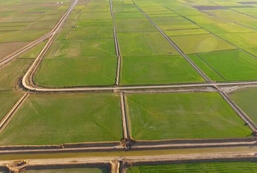 بررسی ۵ پلاک در کمیسیون رفع تداخلات استان خوزستان

