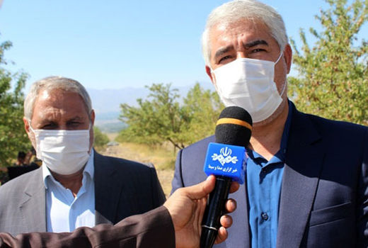 برداشت 350 تن بادام از باغات شهرستان ویژه مرند 