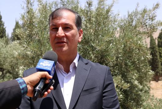 توسعه پایدار تولید زیتون در کشور با نگاه دانش‌محور