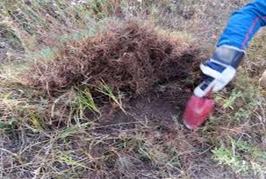 بازدید از اماکن زمستانگذران سن غلات در شهرستان البرز انجام شد