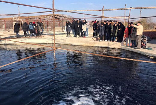 بازدید دانشجویان دامپزشکی دانشگاه آزاد شبستر از مزارع پرورش ماهی شهرستان های مراغه و بناب