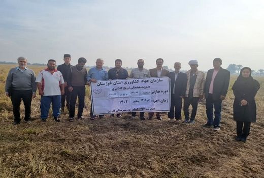 ترویج استفاده از کاه و کلش برنج در تغذیه دام