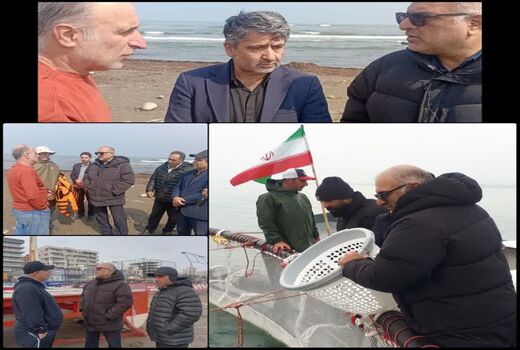 گام نوین شیلات مازندران در توسعه آبزی‌پروری دریایی با گونه‌های بومی