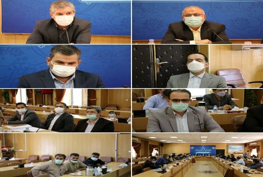 مشکل کمبود نهاده‌ دامی با آزادسازی از گمرک تا دوهفته آینده رفع می شود