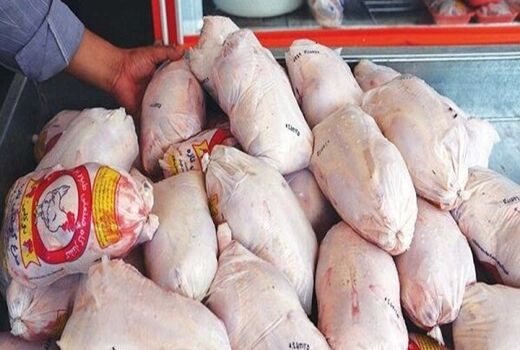آغاز خرید مرغ شیرینگ پک از مرغداران استان

