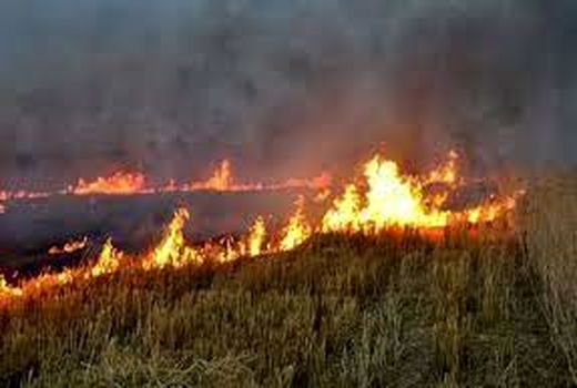 ترویج منع آتش زدن بقایای گیاهی در خرمشهر