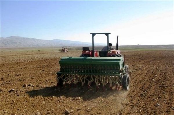 اختصاص 533 هزار هکتار از اراضی کردستان به کشت گندم