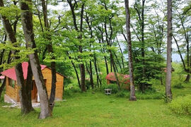 پارک‌های جنگلی با محوریت حفظ و احیای جنگل‌‌ مدیریت می‌شود