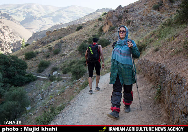 کوه پیمایی